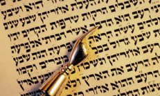 Tidbits of Torah