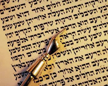 Tidbits of Torah